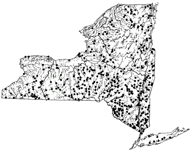 NY Species Distribution – Wild Trout Streams