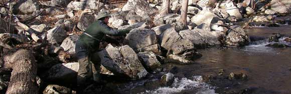 Fisherman on small stream