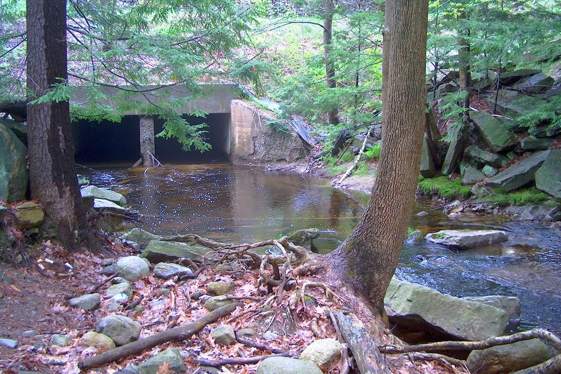 Maine Wild Trout Streams