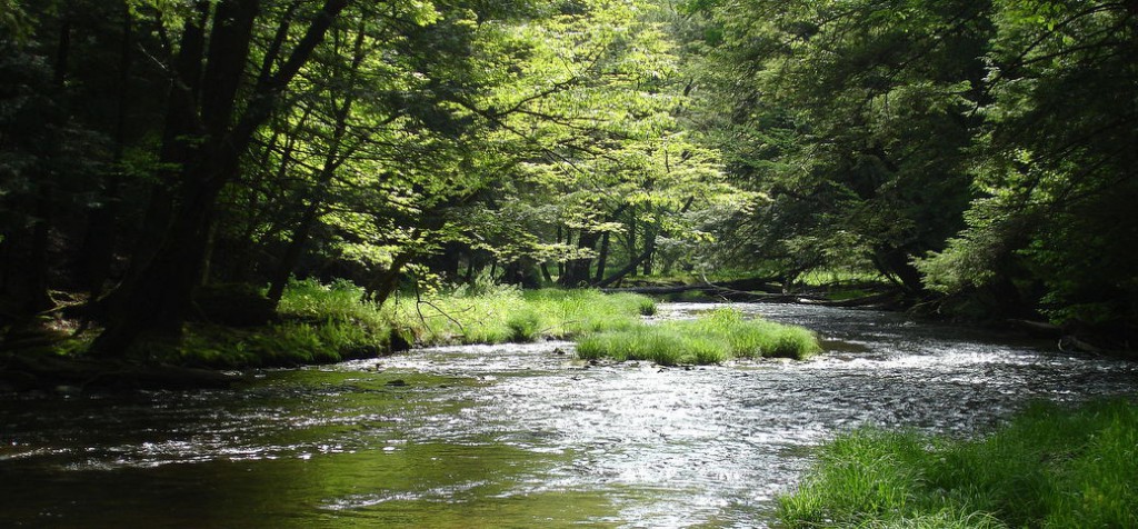 Pennsylvania Overview – Wild Trout Streams