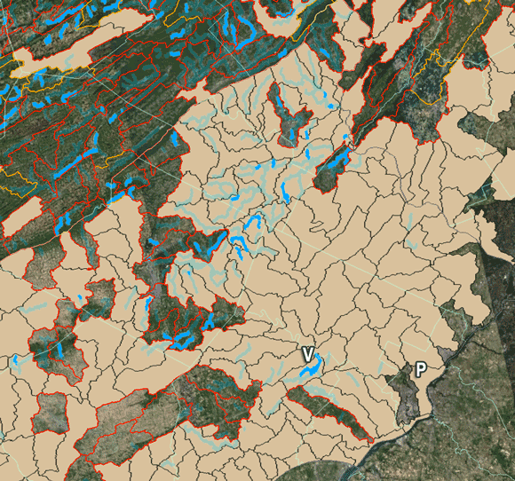 Class A Wild Trout Streams