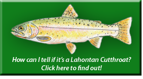 Lahontan Cutthroat Identification