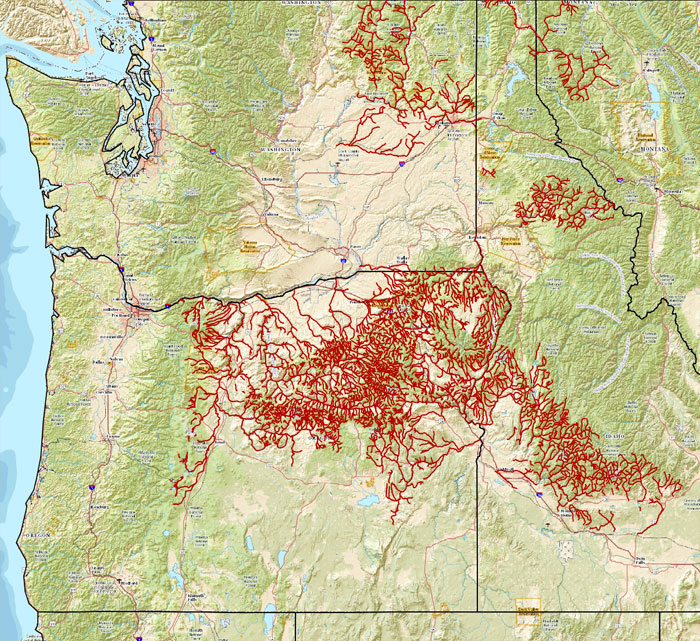 Columbia Basin Redband Range (excludes Owyhee)