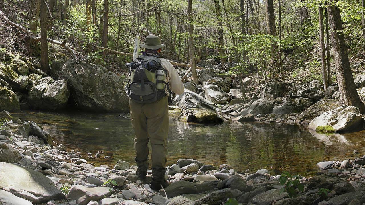 Virginia Overview Wild Trout Streams